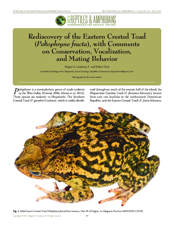 (PDF) Rediscovery of the Eastern Crested Toad (Peltophryne fracta ...