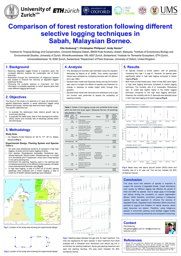 (PDF) Comparison of forest restoration following different selective ...