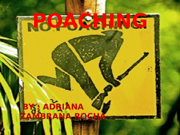 (PPT) POACHING PRESENTATION