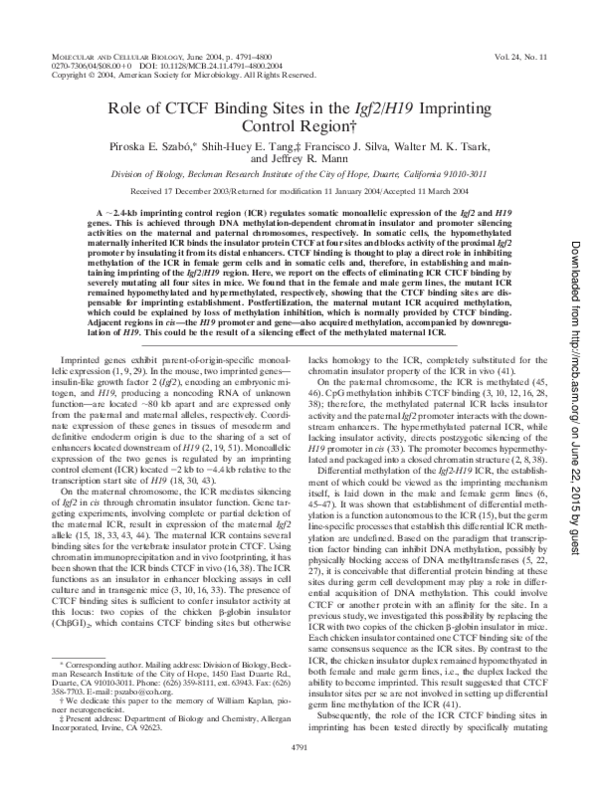 (PDF) Role of CTCF Binding Sites in the Igf2/H19 Imprinting Control Region