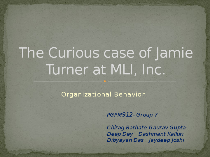 Mli case study 07 image