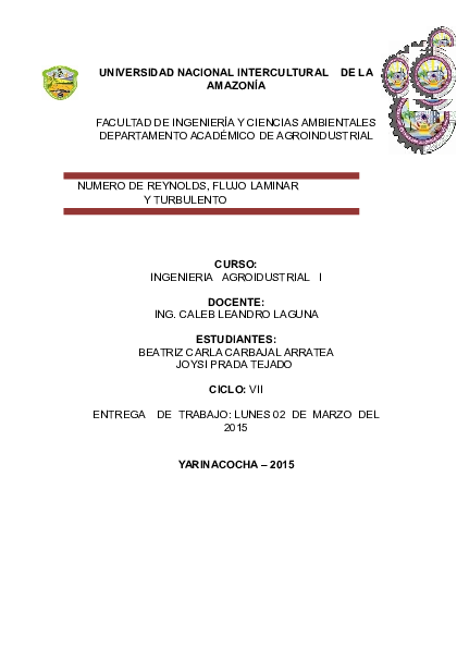 (DOC) UNIVERSIDAD NACIONAL INTERCULTURAL DE LA AMAZONÍA