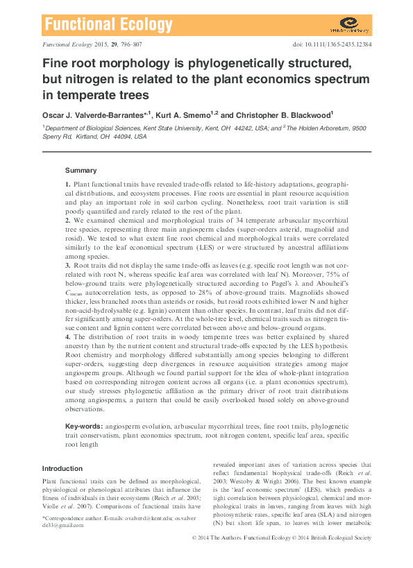 (PDF) Fine root morphology is phylogenetically structured, but nitrogen ...