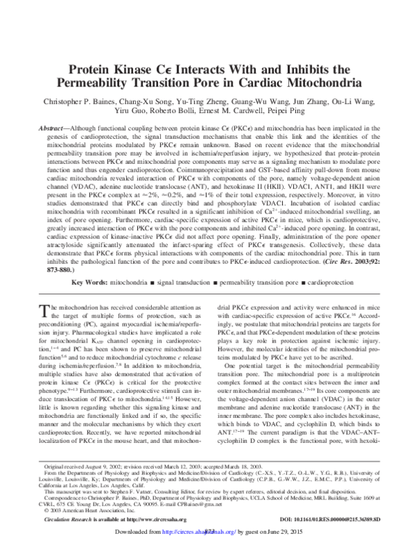 (PDF) Protein Kinase C Interacts With and Inhibits the Permeability ...