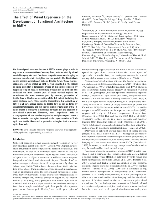 The effect of visual experience on the development of functional ...