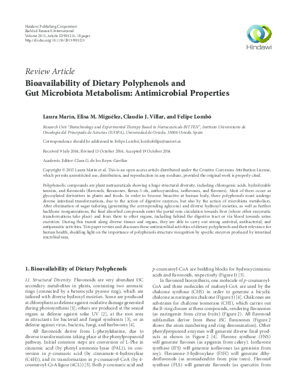 Vanderbilt peabody faculty picture