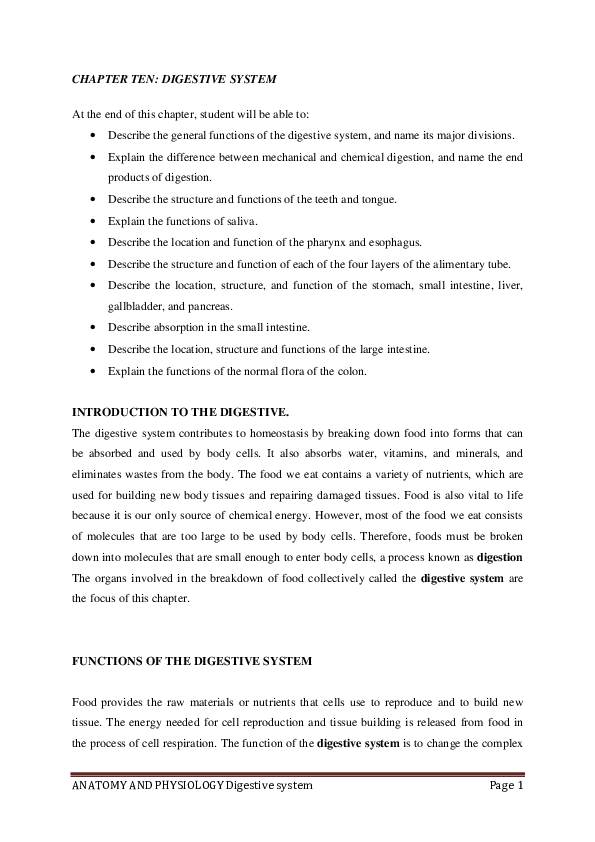 How the digestive system works picture