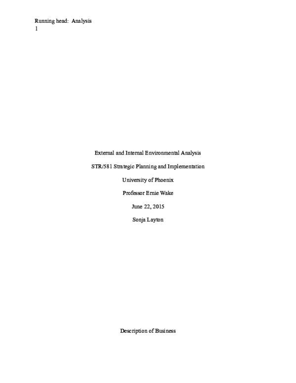  doc external and internal environmental analysis str 581 strategic