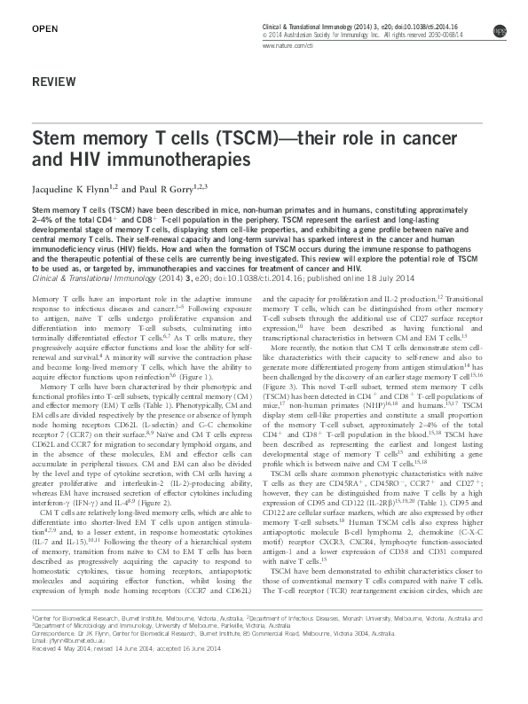 Stem memory T cells (TSCM)—their role in cancer and HIV immunotherapies