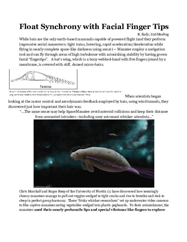全てのアイテム with Synchrony Float PDF) Facial Tips Finger グローブ