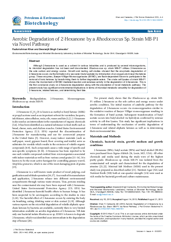 Thesis on biosurfactants 02 image