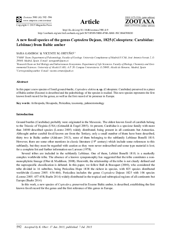 (PDF) A new fossil species of the genus Coptodera Dejean, 1825