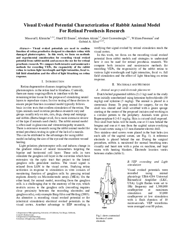 (PDF) Visual Evoked Potential Characterization of Rabbit Animal Model ...