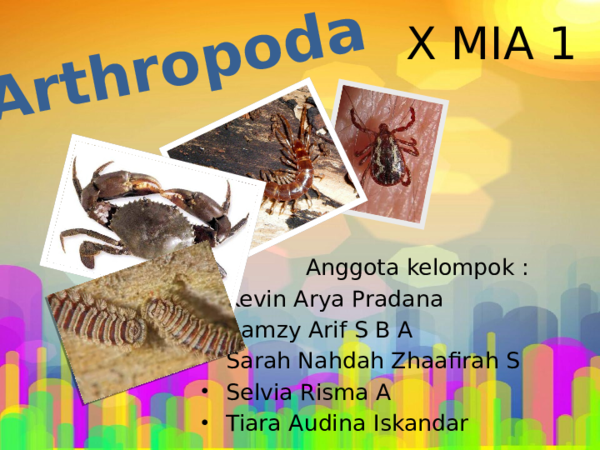 Ppt Arthropoda Futri Fauziah Academia Edu