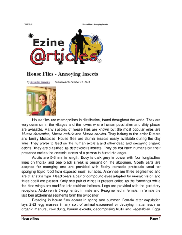 House fly sentence picture