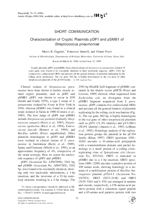 What should a college essay be about picture