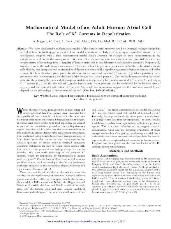 (PDF) Mathematical Model of an Adult Human Atrial Cell The Role of K1 ...