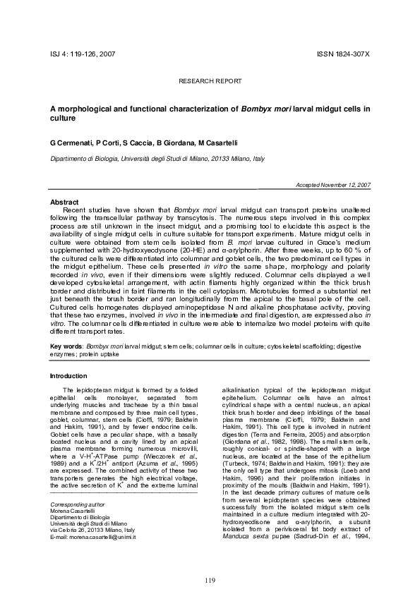 (PDF) A morphological and functional characterization of Bombyx mori ...