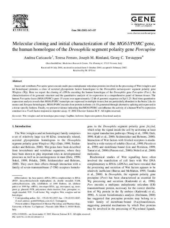 (PDF) Molecular cloning and initial characterization of the MG61/PORC ...