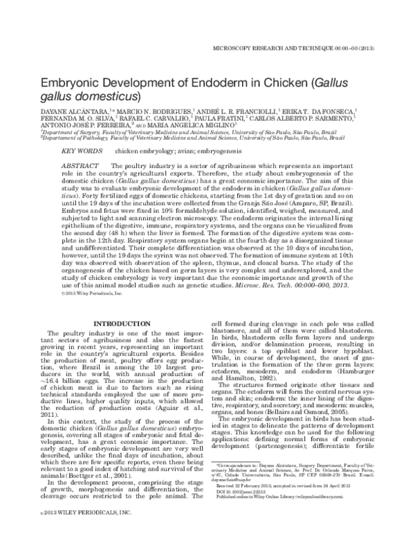 (PDF) Embryonic Development of Endoderm in Chicken (Gallus gallus ...