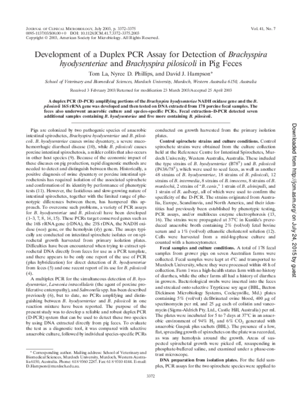 (PDF) Development of a Duplex PCR Assay for Detection of Brachyspira ...