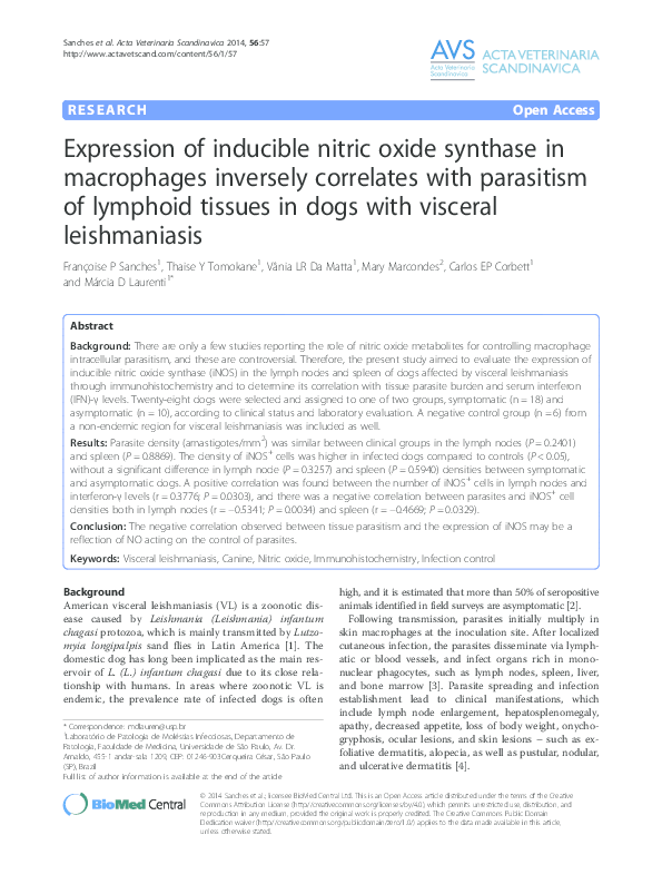 (PDF) Expression of inducible nitric oxide synthase in macrophages ...