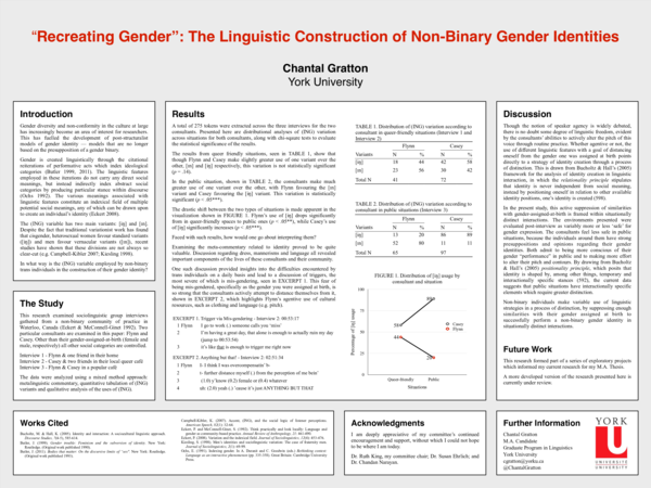 Examples of non binary genders picture