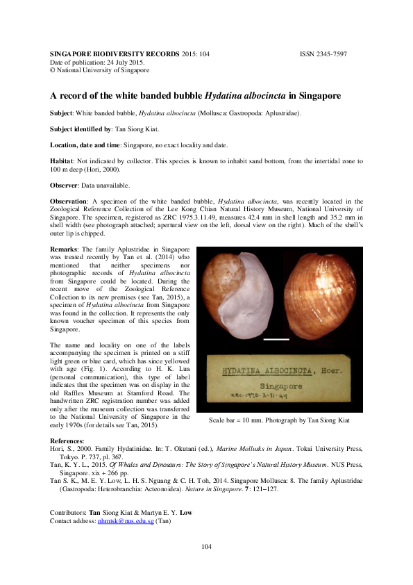 Pdf Record Of Hydatina Albocincta In Singapore Siong Kiat Tan Academia Edu