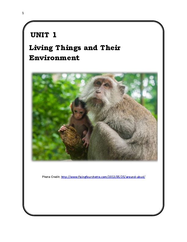 (PDF) Living Things and Their Environment