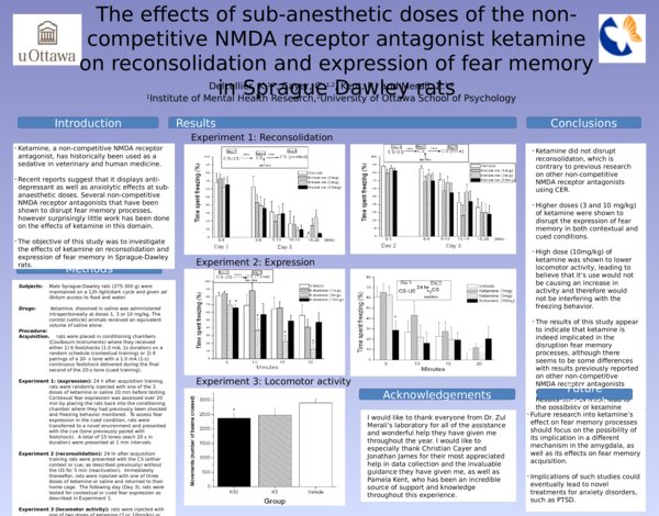 (PPT) The effects of sub-anesthetic doses of the non-competitive NMDA ...