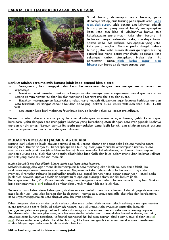 Doc Cara Melatih Jalak Kebo Agar Bisa Bicara Hendro Tampubolon