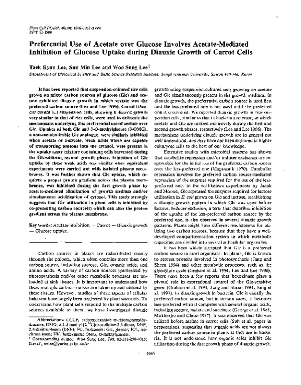 Acetate department essay image