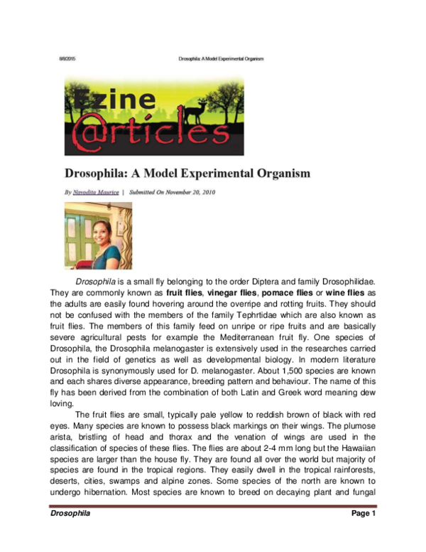 (PDF) Drosophila A Model Experimental Organism Navodita