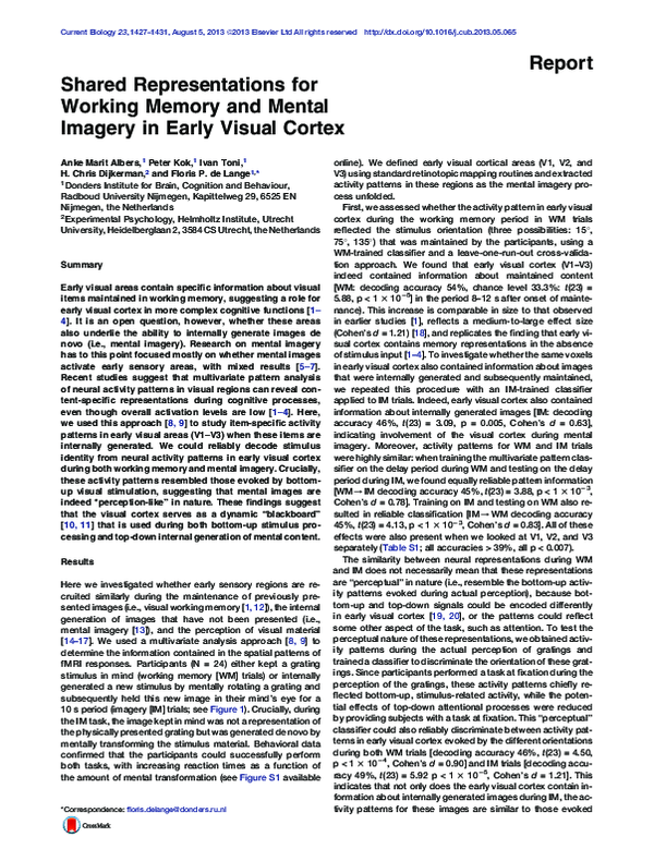 (PDF) Shared Representations for Working Memory and Mental Imagery in ...