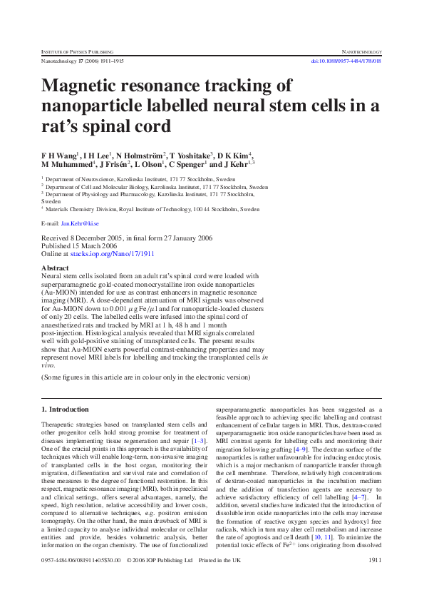 (PDF) Superparamagnetic iron oxide nanoparticles functionalized with ...