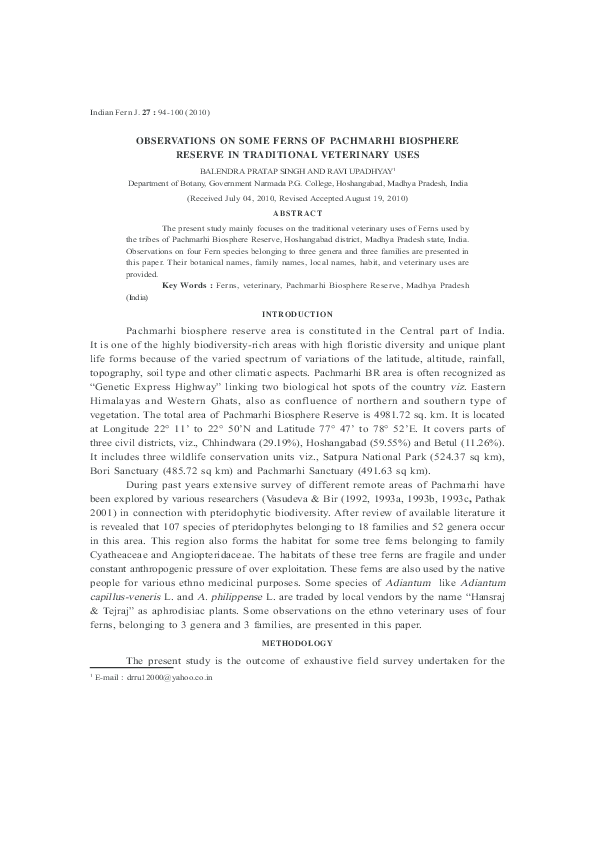 Pachmarhi hill station image