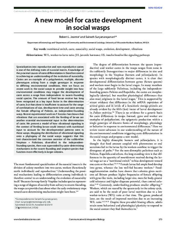 (PDF) A new model for caste development in social wasps