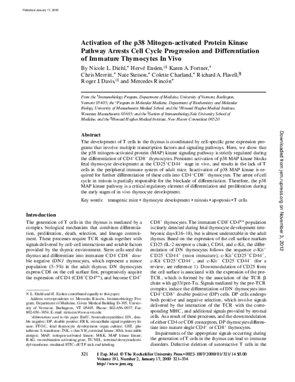 Activation of the p38 mitogen-activated protein kinase pathway arrests ...