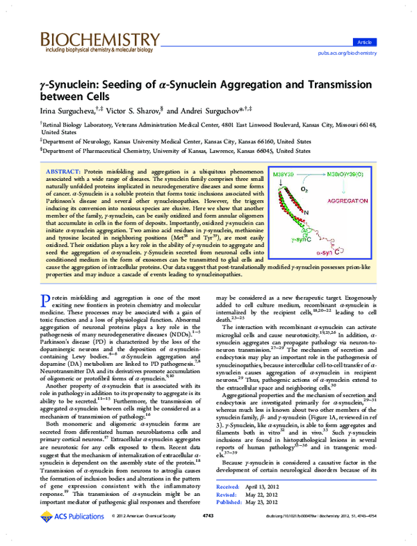 (PDF) γ-Synuclein: Seeding of α-Synuclein Aggregation and Transmission ...