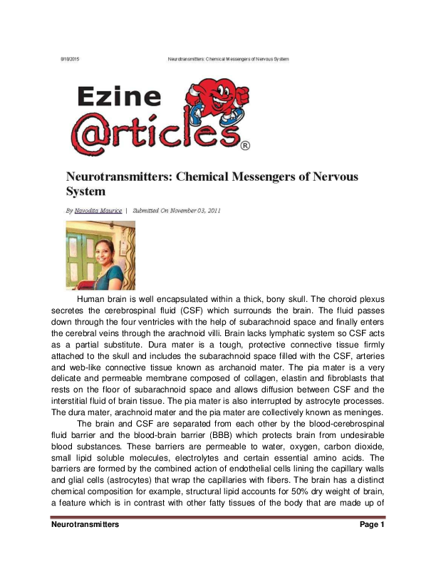 Neurotransmitters essay example picture