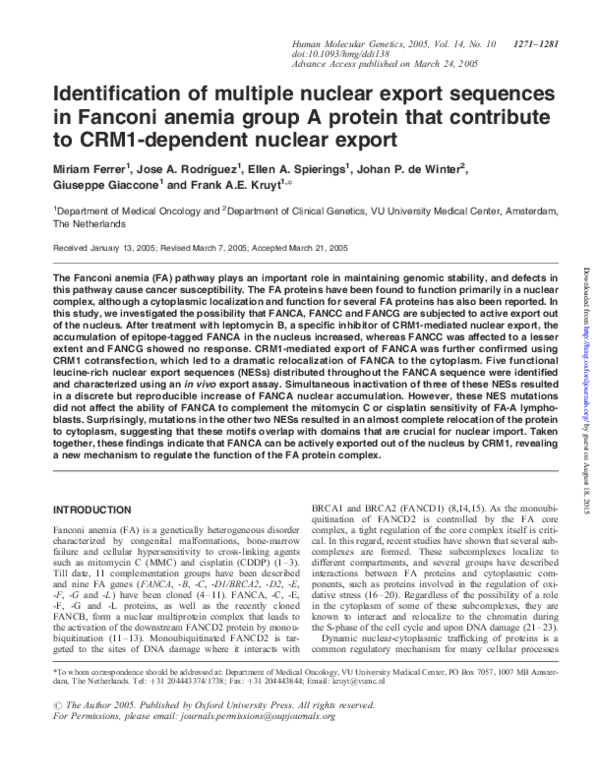 (PDF) Identification of multiple nuclear export sequences in Fanconi ...