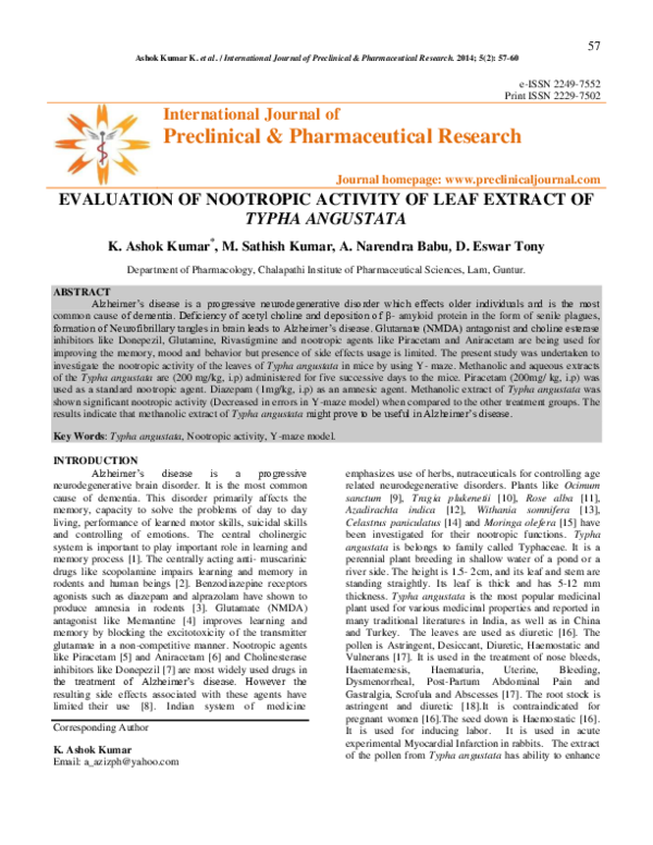 Best nootropics 2020 image