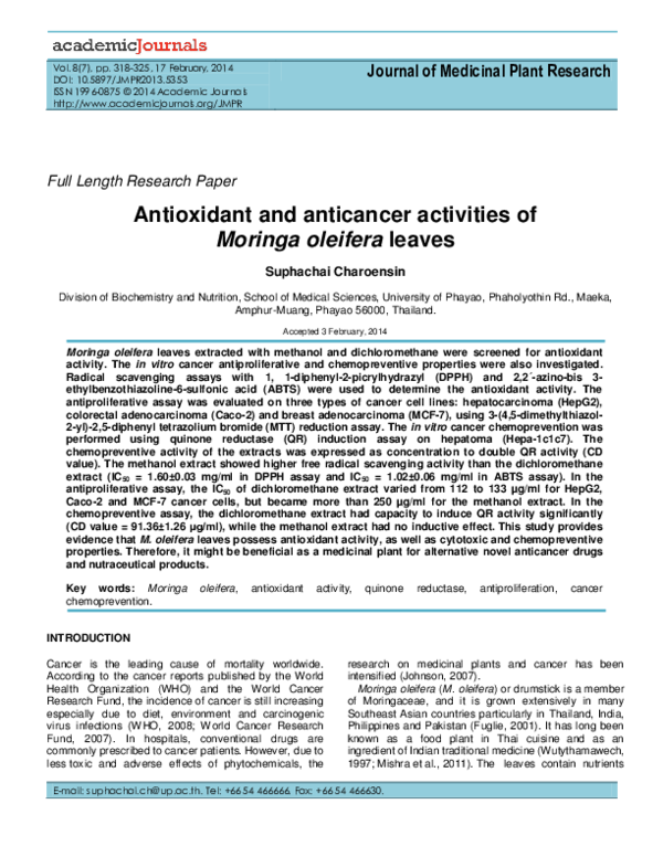 Drumstick tree picture