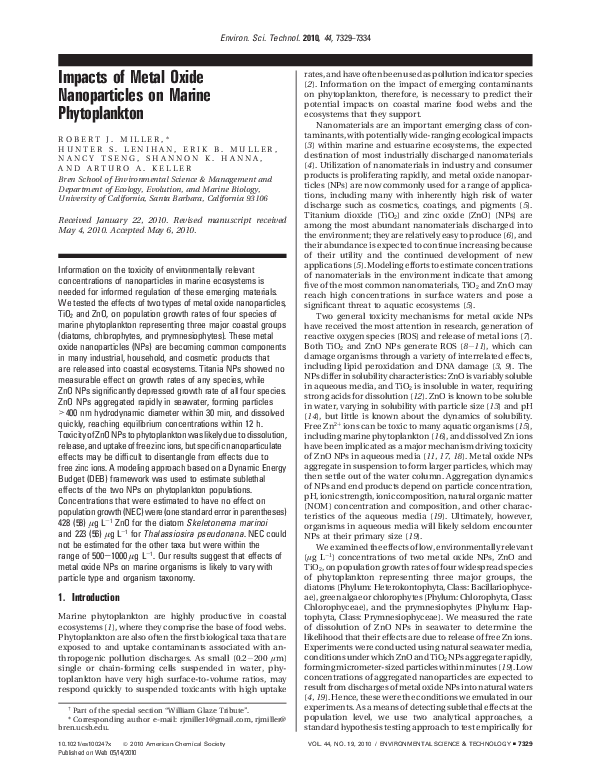 What does phytoplankton eat picture