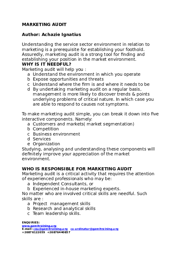 What does an auditor do picture