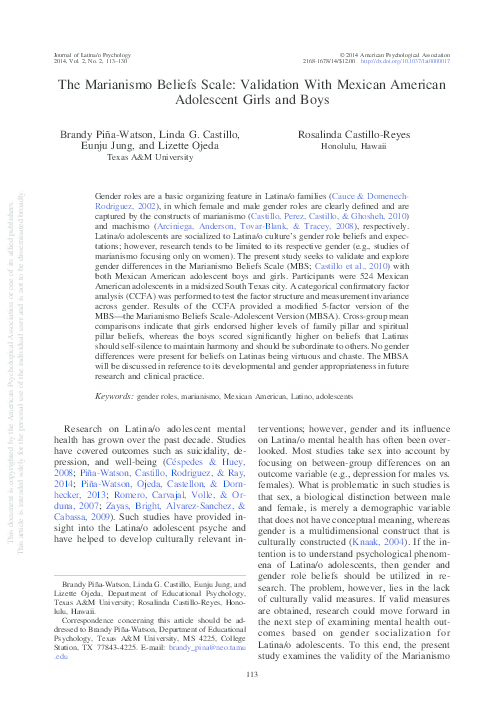 Observation paper on a boy entering adolescence psychology essay 07 image