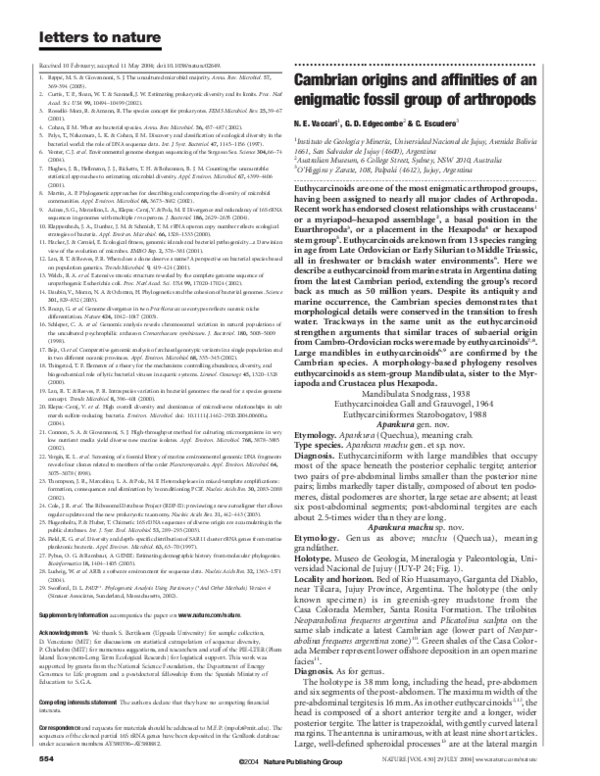 Arthropods characteristics picture