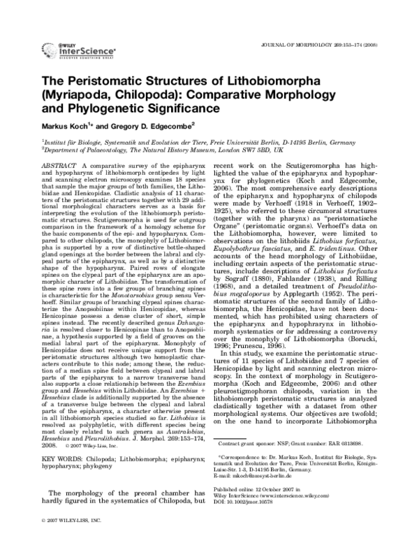 (PDF) The peristomatic structures of Lithobiomorpha (Myriapoda ...