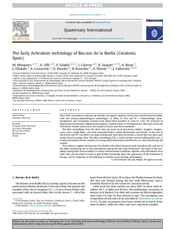 Acheulean technology essay image