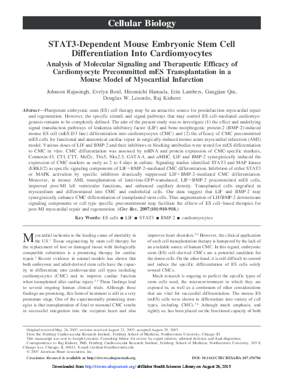 (PDF) STAT3-Dependent Mouse Embryonic Stem Cell Differentiation Into ...